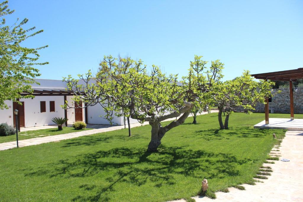 Masseria Valente Ostuni Exteriör bild